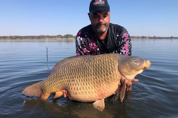 347606181_752050630261900_8453086814212569489_n