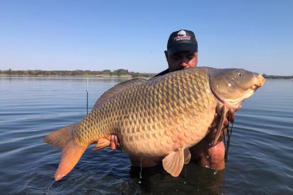 347614295_752050636928566_4139731602427441788_n