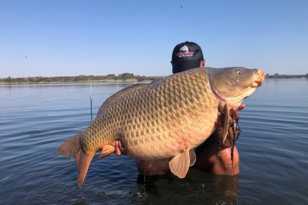 347632904_752050613595235_3838980916799297135_n