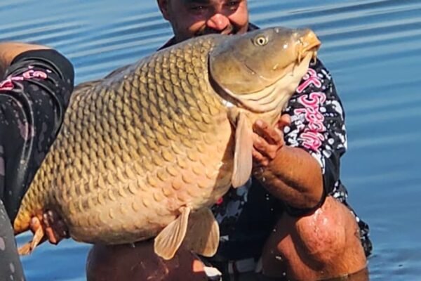 348296564_752050623595234_6866012744557273001_n